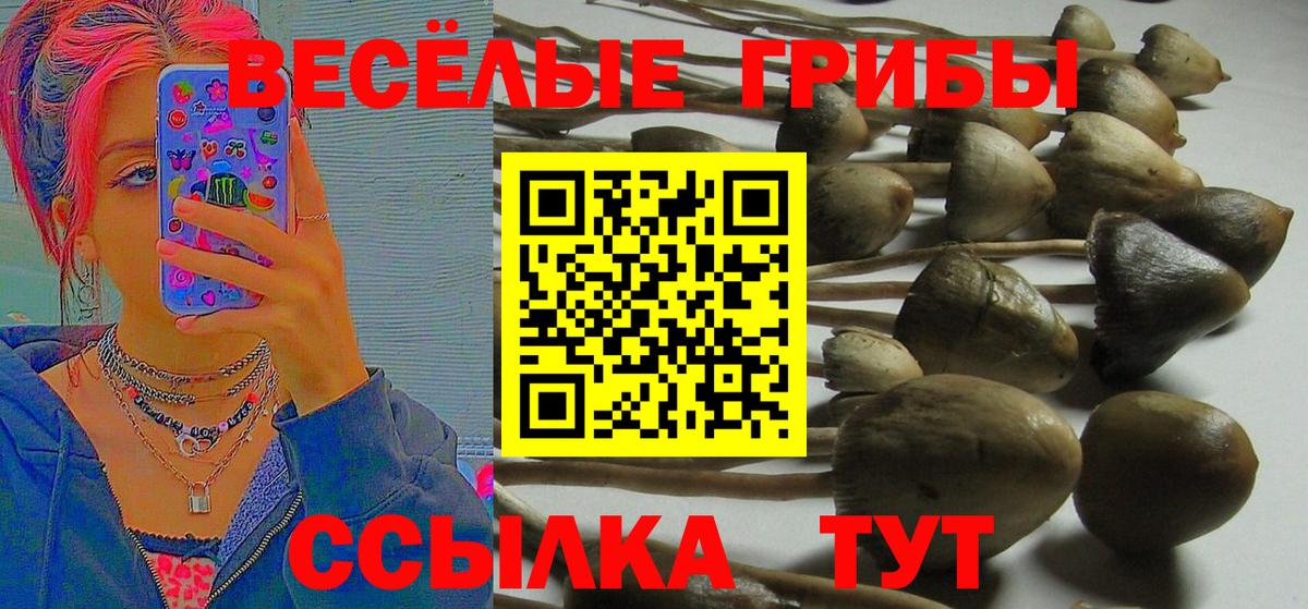Галлюциногенные грибы прущие грибы  Псилоцибиновые грибы Cubensis  Борисоглебск  Вход с VPN 